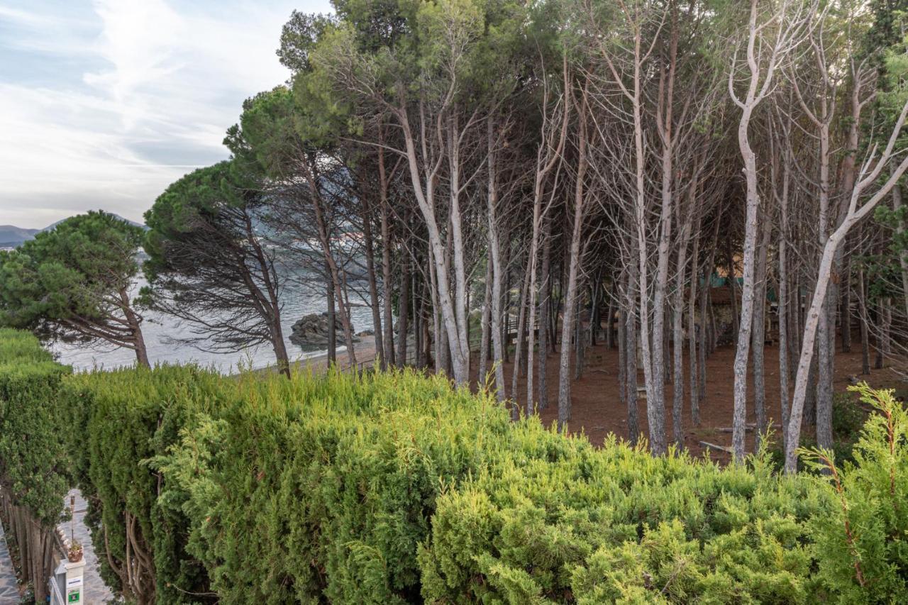 Apartaments Falco Llança Εξωτερικό φωτογραφία
