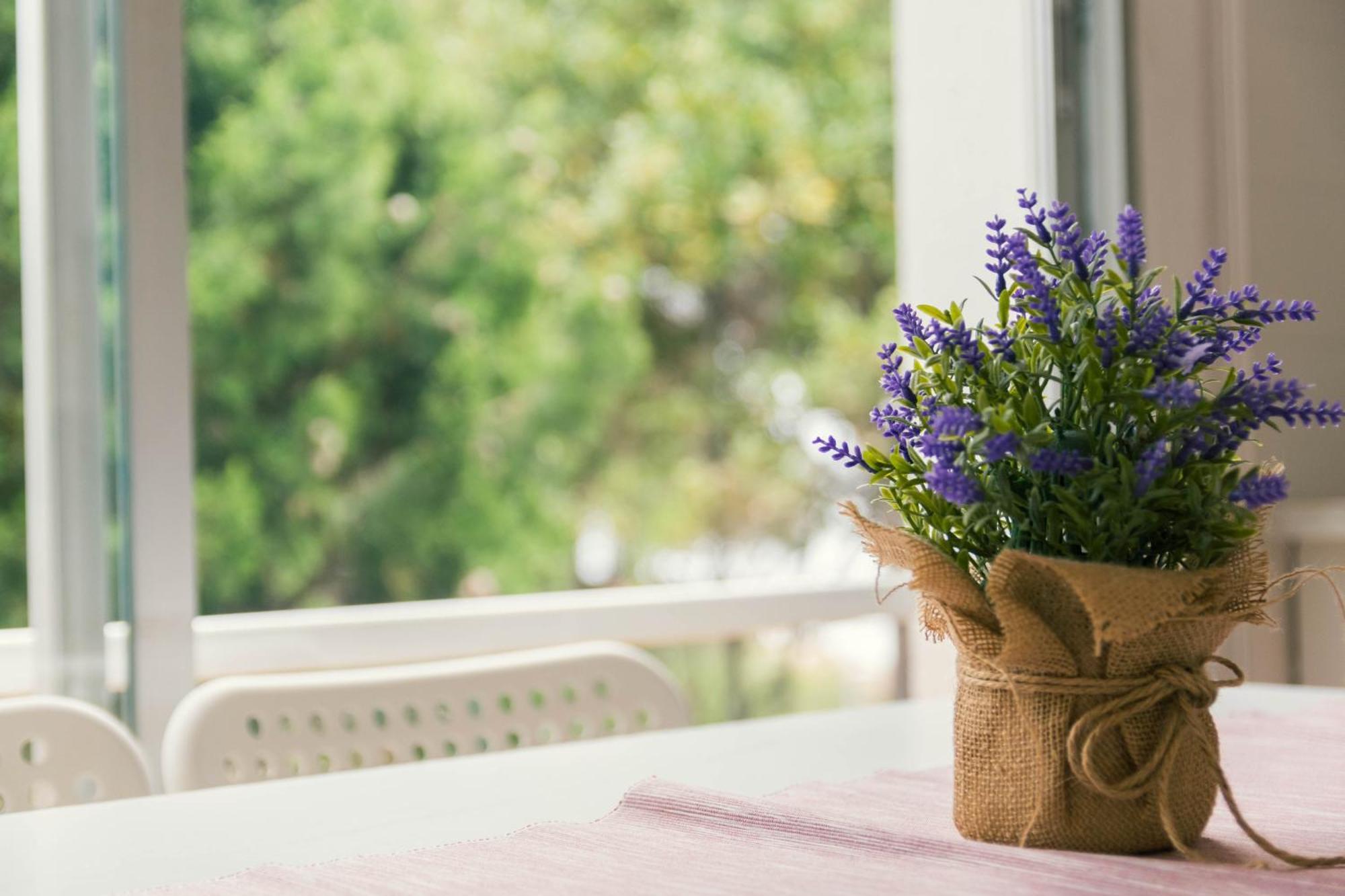 Apartaments Falco Llança Εξωτερικό φωτογραφία